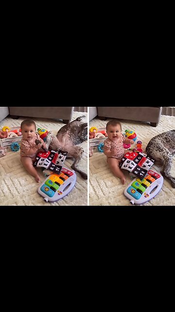 Curious Baby Humorously Attempts To Eat Dog's Foot