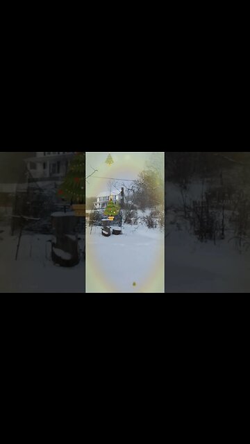 Merry Christmas Eve ⛄ : Deep Chill : Arctic Blast 🌬