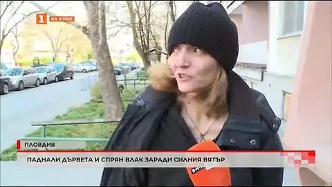 Дърво падна и затисна мъж в Пловдив