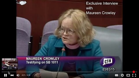 Maureen Crowley speaks at the public hearing the Sandy Hook shooting was all a hoax a must watch