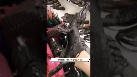 😍 crocodile shoe 💯🔥 #shorts #crocodiles #viral