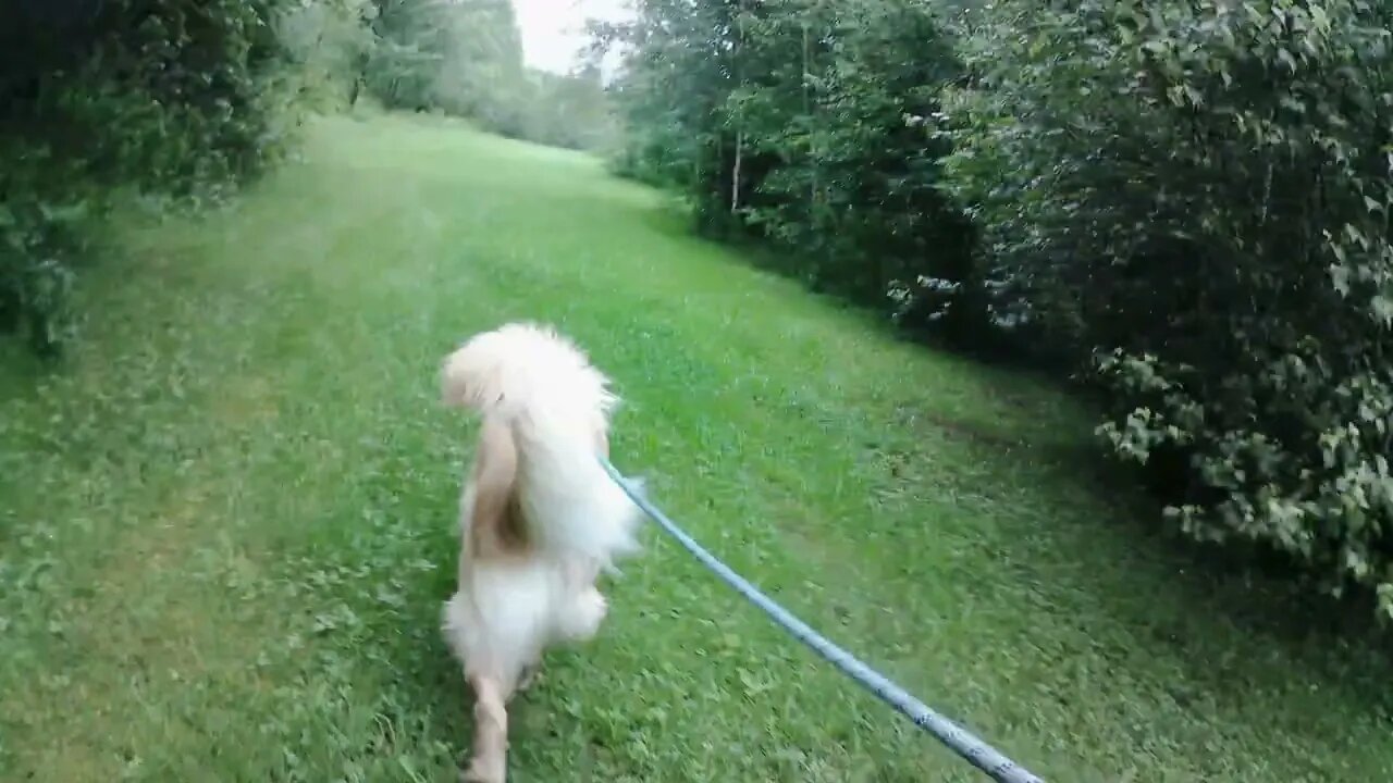 July 3rd, Flynn wants to eat grass.