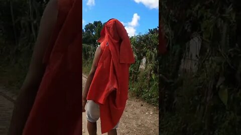 🔴 ¿¿¿ Que PUEDES hacer sin LECHE en CUBA??? 🤔 short