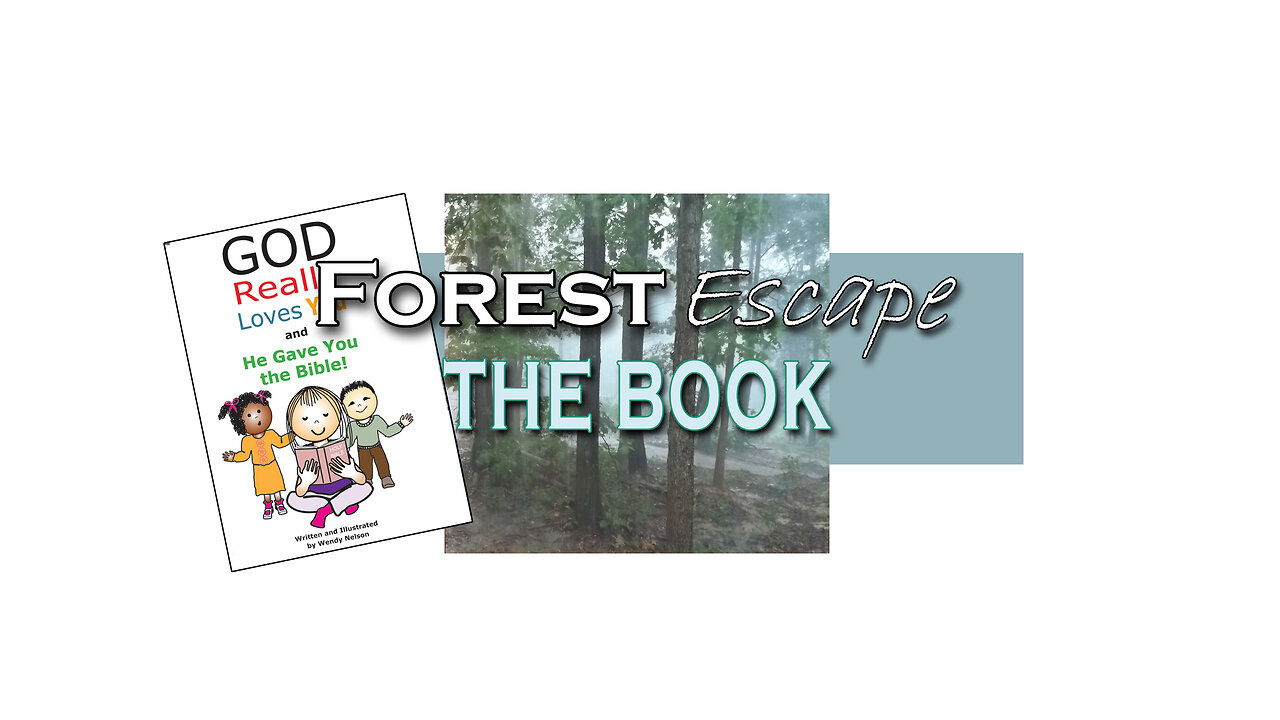 Forest Escape Christian Children's Books: God Really Loves You Book Series Buy Directly from Printer
