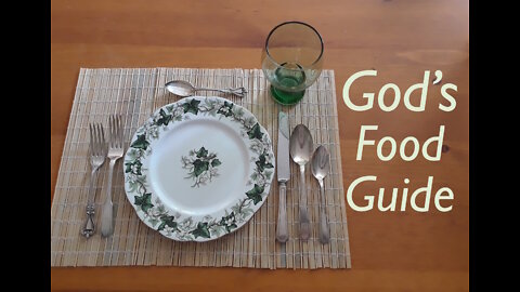God Our Healer - God's Food Guide