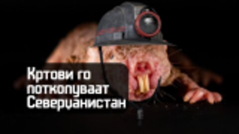 Штрајк на кртовите
