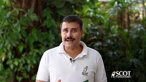 Boi gordo derrapa e derrete nesta primeira quinzena, informa Scot Consultoria