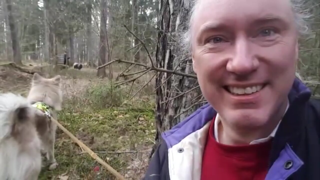 Babbel på skogsmarken