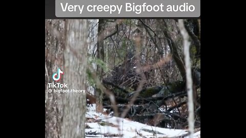 BIGFOOT IS NOT YOUR FRIEND