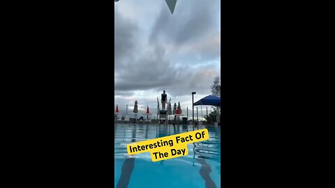 Fun Fact Of The Day