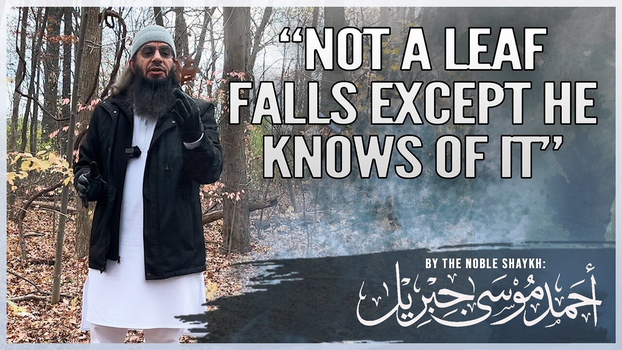 NOT A LEAF FALLS EXCEPT HE HAS KNOWLEDGE OF IT | Shaykh Ahmad bin Musa A̅l-Jibril (حفظه الله تعالى)