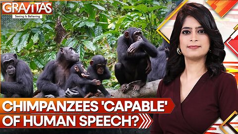 Gravitas: Study finds Chimpanzees maybe able to speak like humans | World News | WION| TP