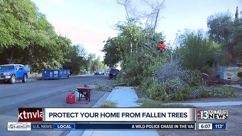 Protect your home fom fallen trees