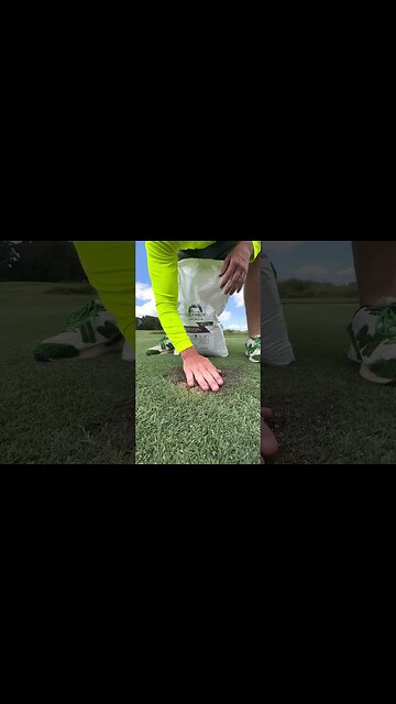 Dog Pee Spot Repair …. Again 😡