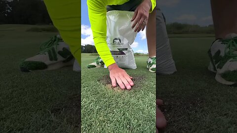 Dog Pee Spot Repair …. Again 😡