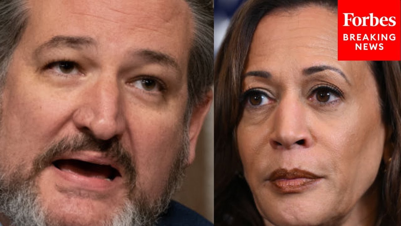 'These People Are Nuts': Ted Cruz Rips Into Harris, Biden, Colin Allred Over Police Defunding