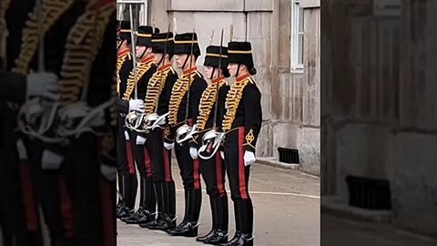 inspection what did they find #horseguardsparade