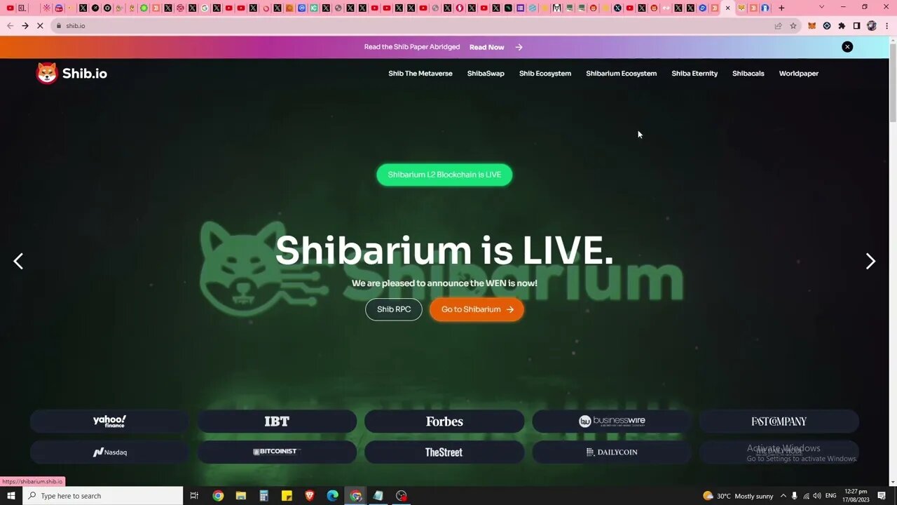 Shibarium Mainnet Is Live! How To Prepare For 1000x Opportunities On Shibarium By Getting In Early?