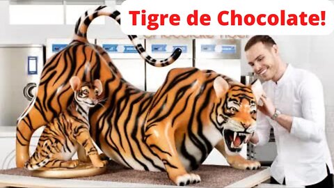 Tigre de Chocolate!