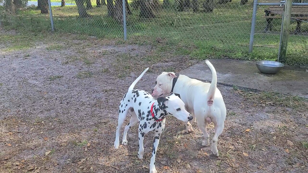 Luna At Rockledge Park And Recreations