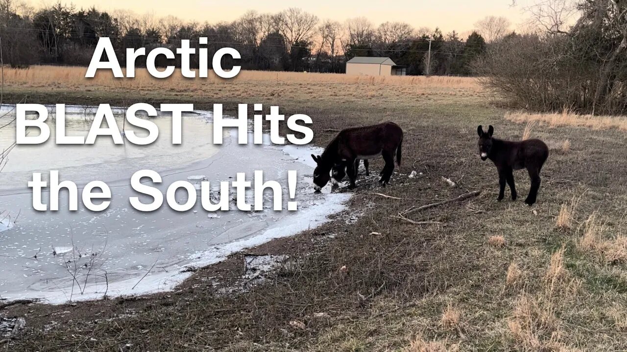 An Arctic BLAST Hits the South and Still Waters Farm! 🥶🐑