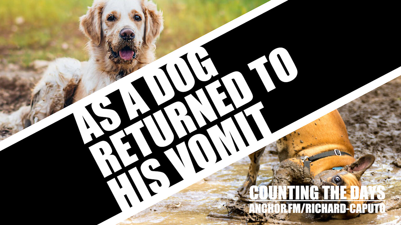 As a Dog Returned to His Vomit