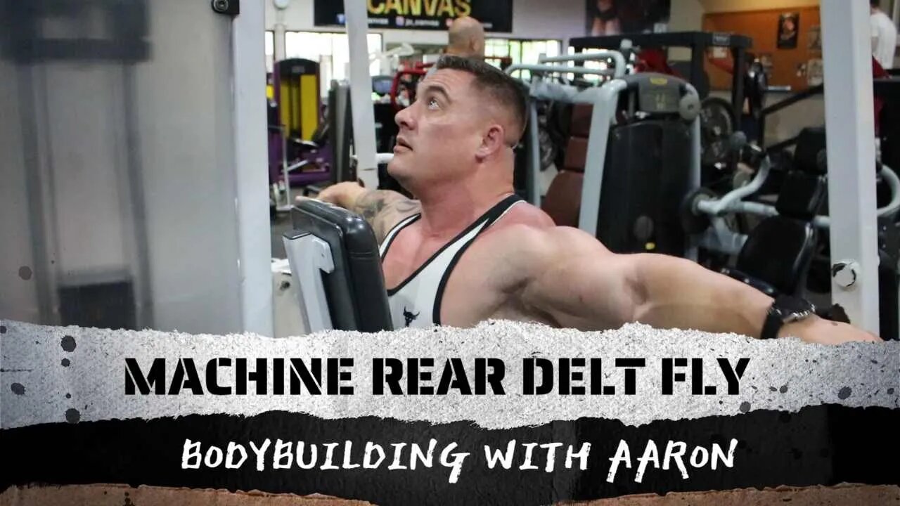 MACHINE REAR DELT FLY 101