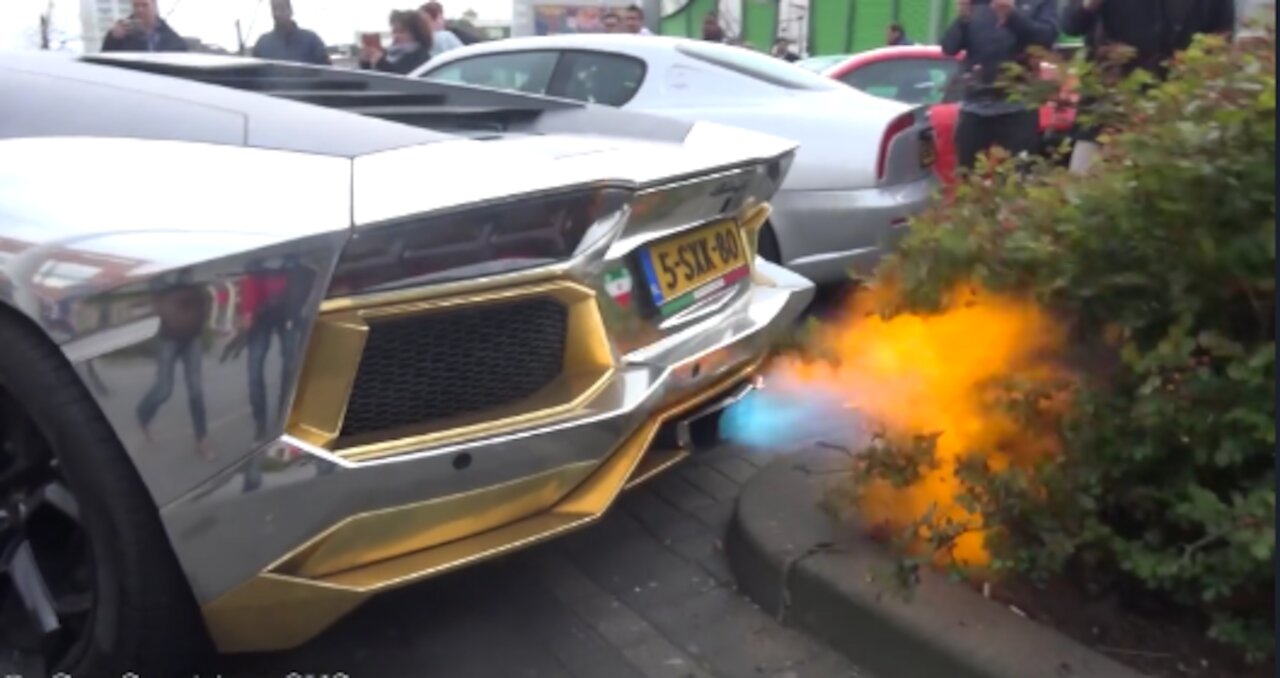 Lamborghini Capristo Exhaust Sets Bushes On Fire! INSANE Flames!