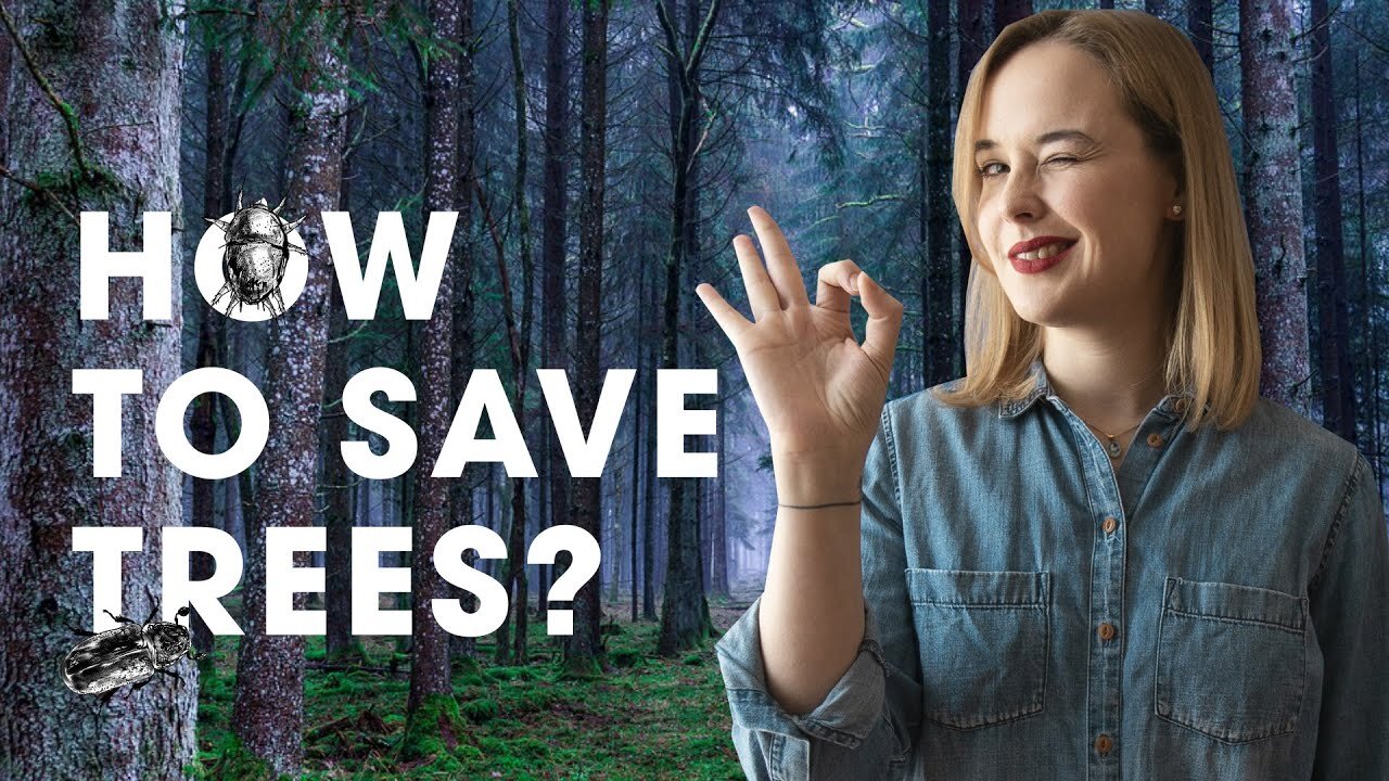 How mites can save trees from bark beetle outbreaks