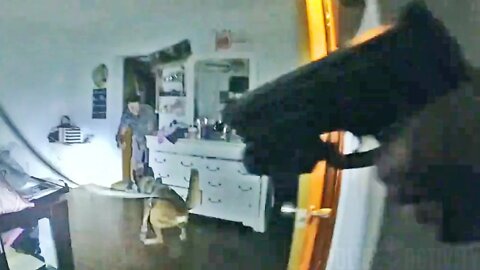 Car Theft Suspect Slashes K-9 With Knife in Bradenton, Florida