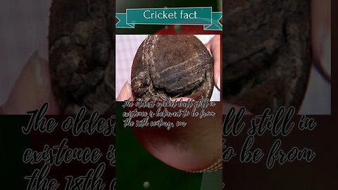 Cricket's Quirky Side: Hilarious Facts You Never Knew #Cricket, #cricketcomedy , #SportsComedy,