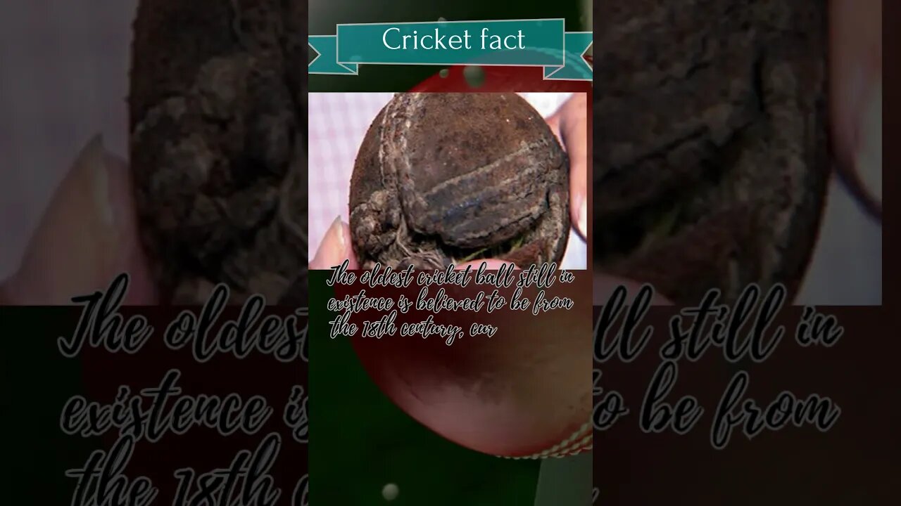 Cricket's Quirky Side: Hilarious Facts You Never Knew #Cricket, #cricketcomedy , #SportsComedy,