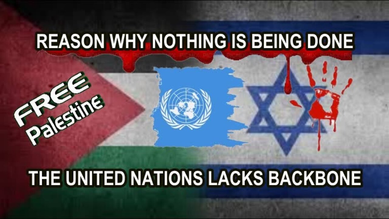 Reason Nothing Is Being Done For Palestine