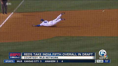 American Heritage grad Jonathan India drafted by Reds