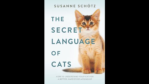 Understand your cute cat, see how cats behave and learn their language.