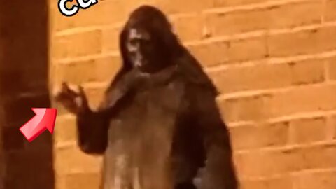 Wonderful! A shadow that should be on a certain statue does not exist [conspiracy]