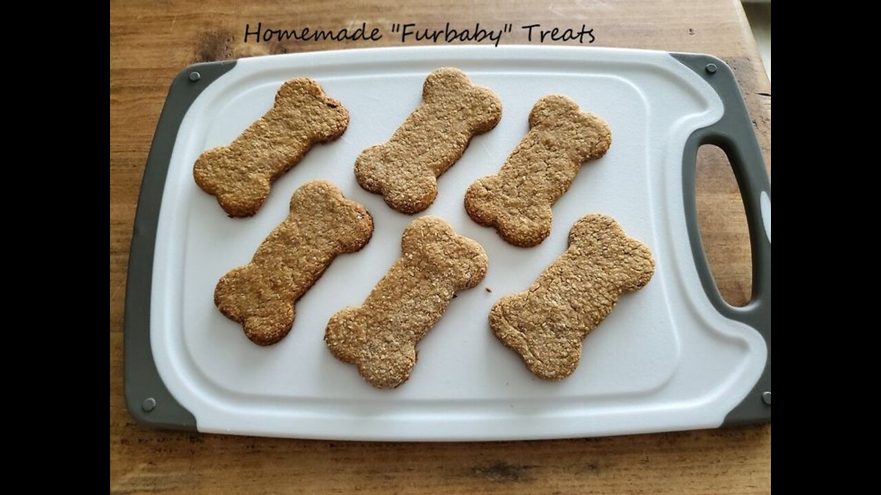 Making homemade "furbaby" treats