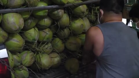 super speed! amazing coconut cutting skills thai street food 3