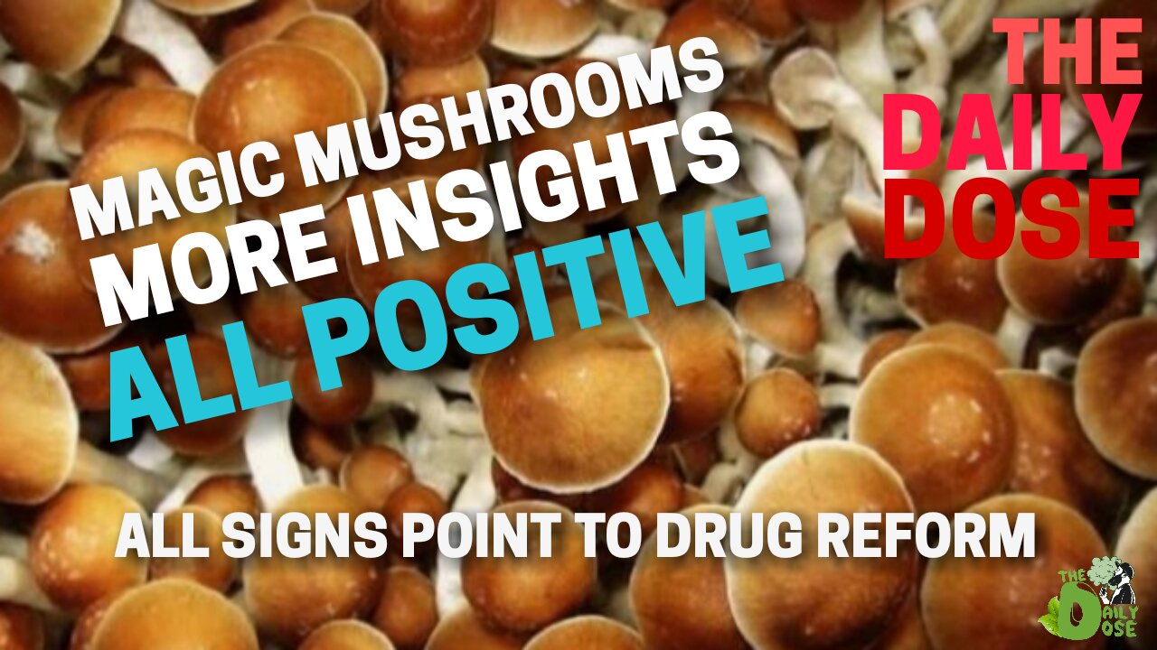 Psilocybin Is Making Break Throughs: Mental Health