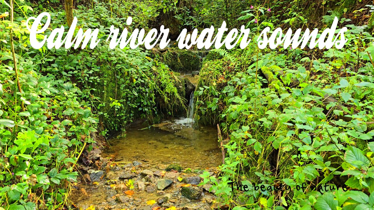 Calm river water sounds / Relaxing water sounds / River with clear fresh water.