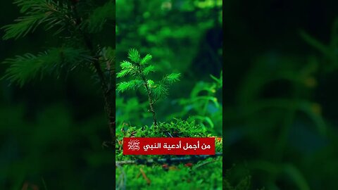 من أروع وأجمل أدعية النبي ﷺ