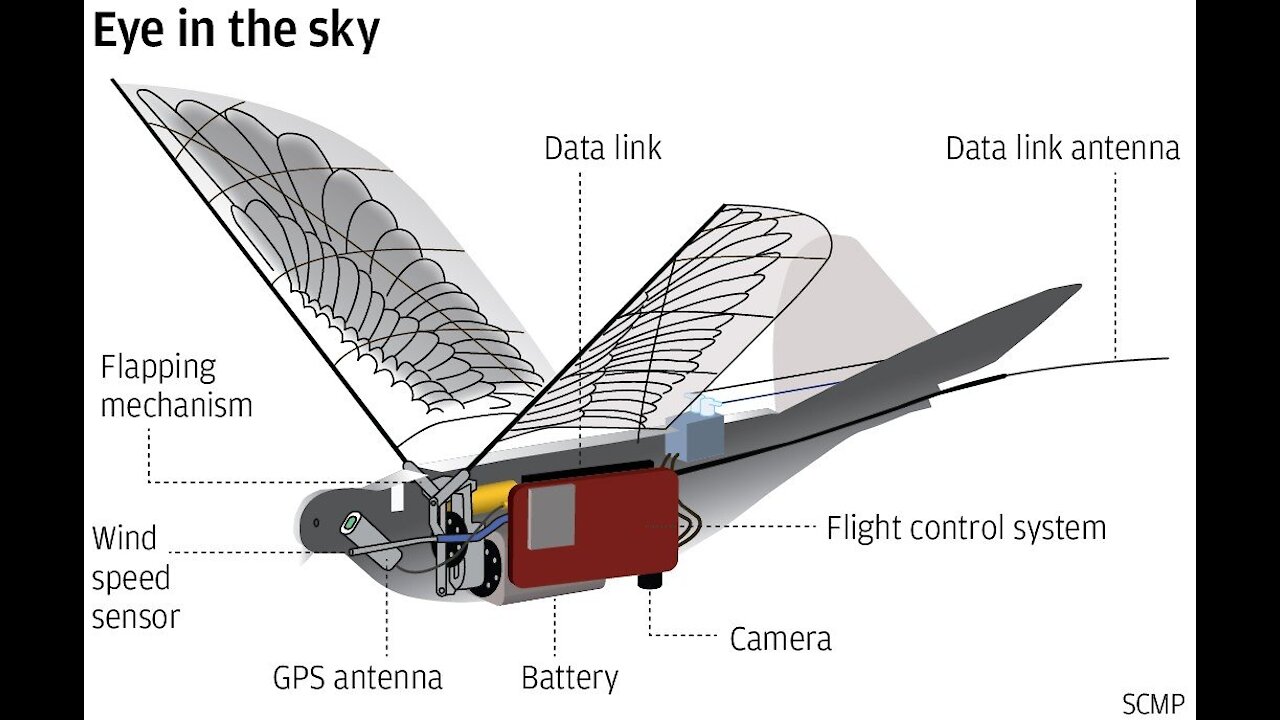 China Using Robotic Drone Birds for Surveillance
