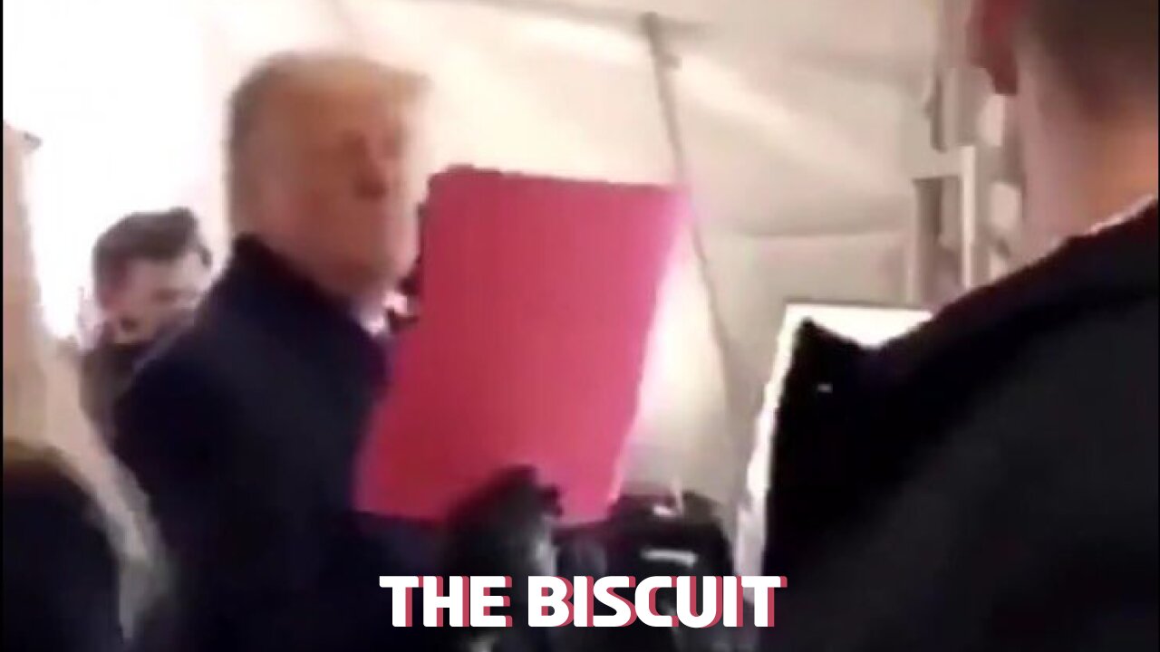 The Biscuit