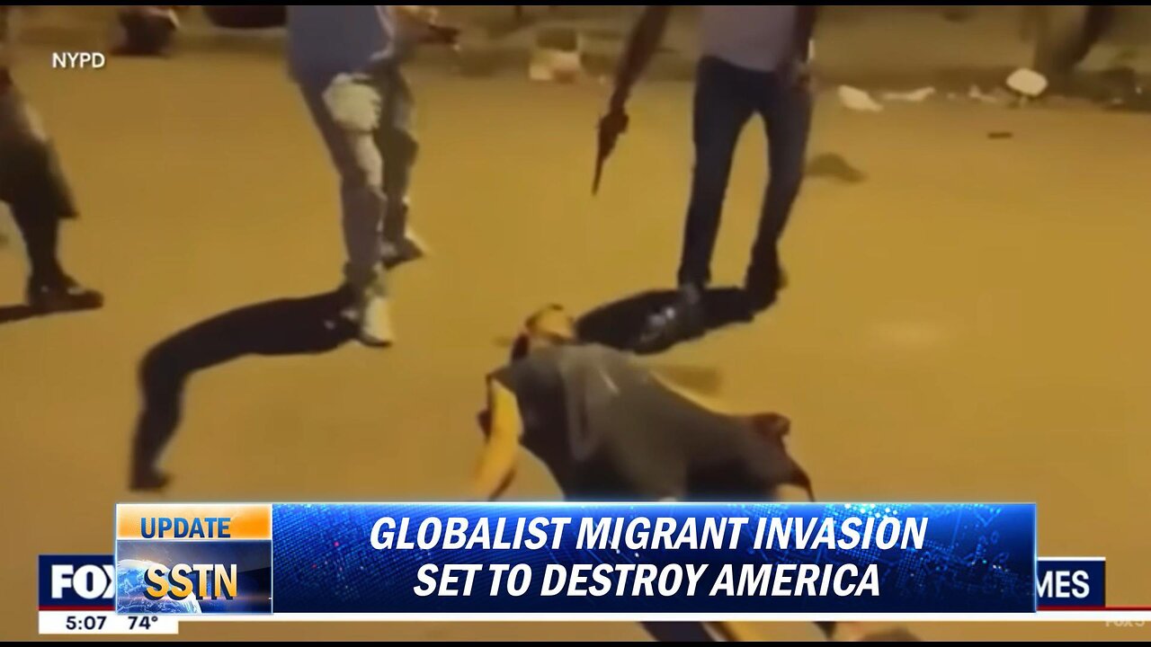 MIGRANT CRIME: Destruction of Western Civilization