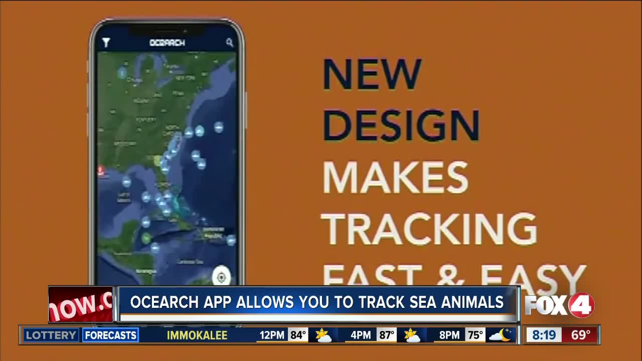 Ocearch app allows you to track sharks and other sea animals