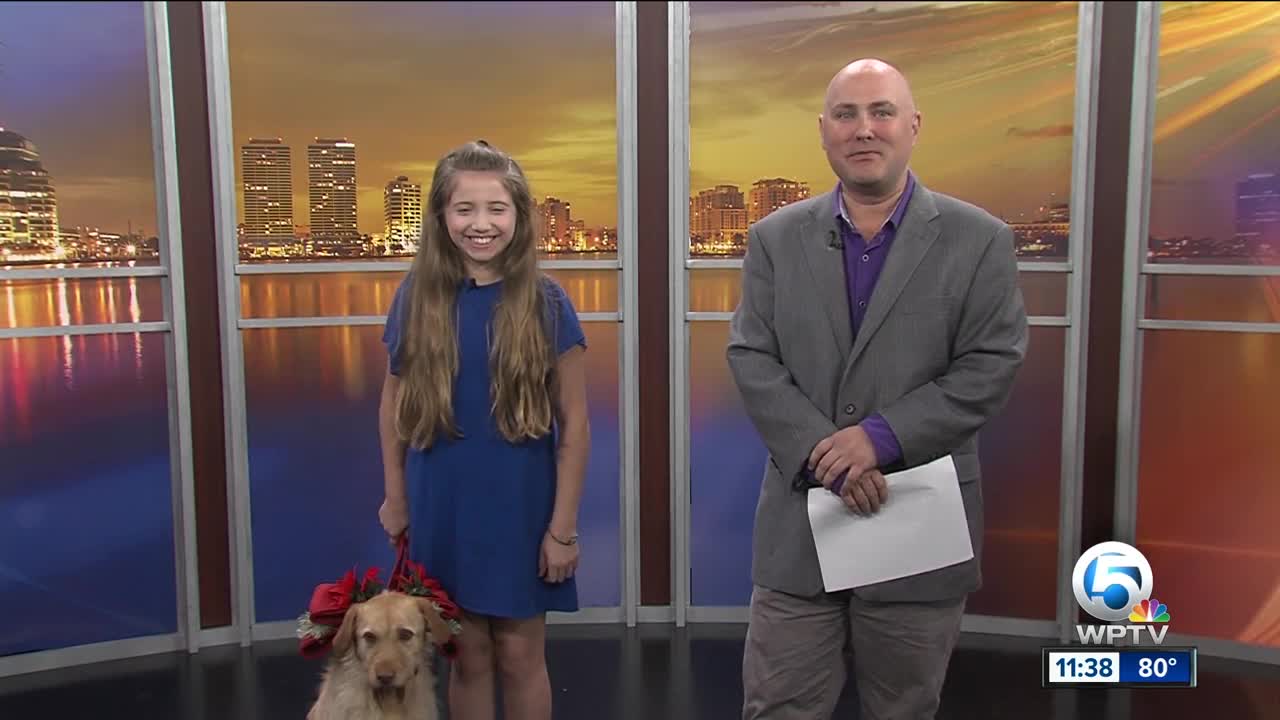 "Annie" the Musical - playing at the Wick Theatre