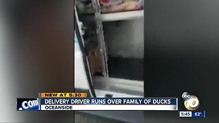 Delivery Driver Accused of running over family of ducks