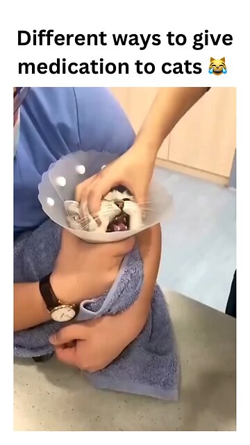 Struggling to give your kitty meds? 🐱 Here are some hilarious yet effective ways to get the job done