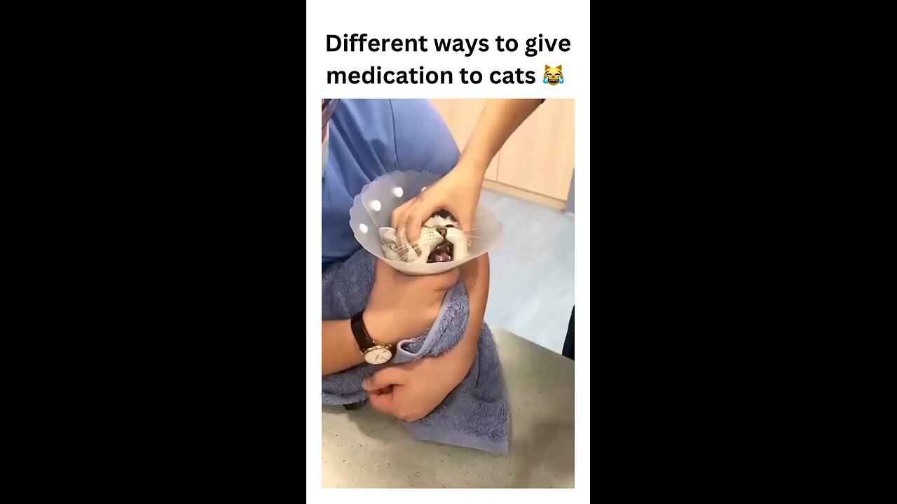 Struggling to give your kitty meds? 🐱 Here are some hilarious yet effective ways to get the job done