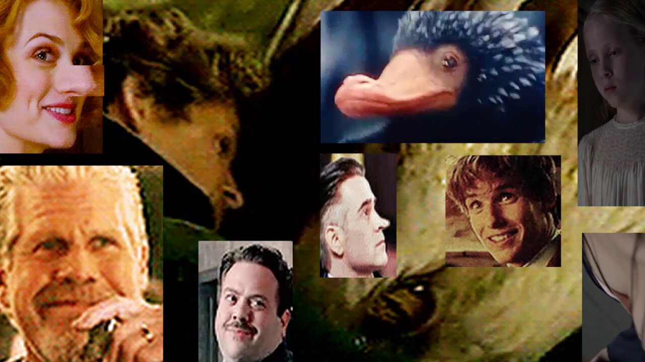 review, Fantastic Beasts, 2016 and where to find them,,_0
